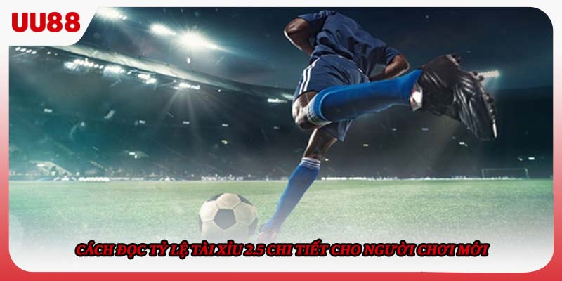 Cách đọc tỷ lệ Tài Xỉu 2.5 chi tiết cho người chơi mới